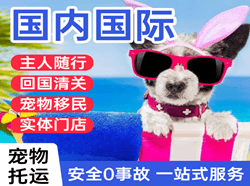 大同云冈机场快运国际宠物托运 【国